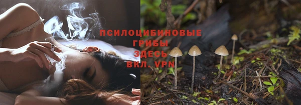 прущие крисы Алзамай