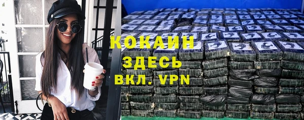 apvp Алексин