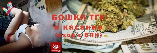 apvp Алексин