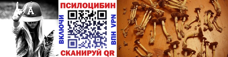 Галлюциногенные грибы ЛСД  мега как зайти  Бугуруслан  что такое наркотик 